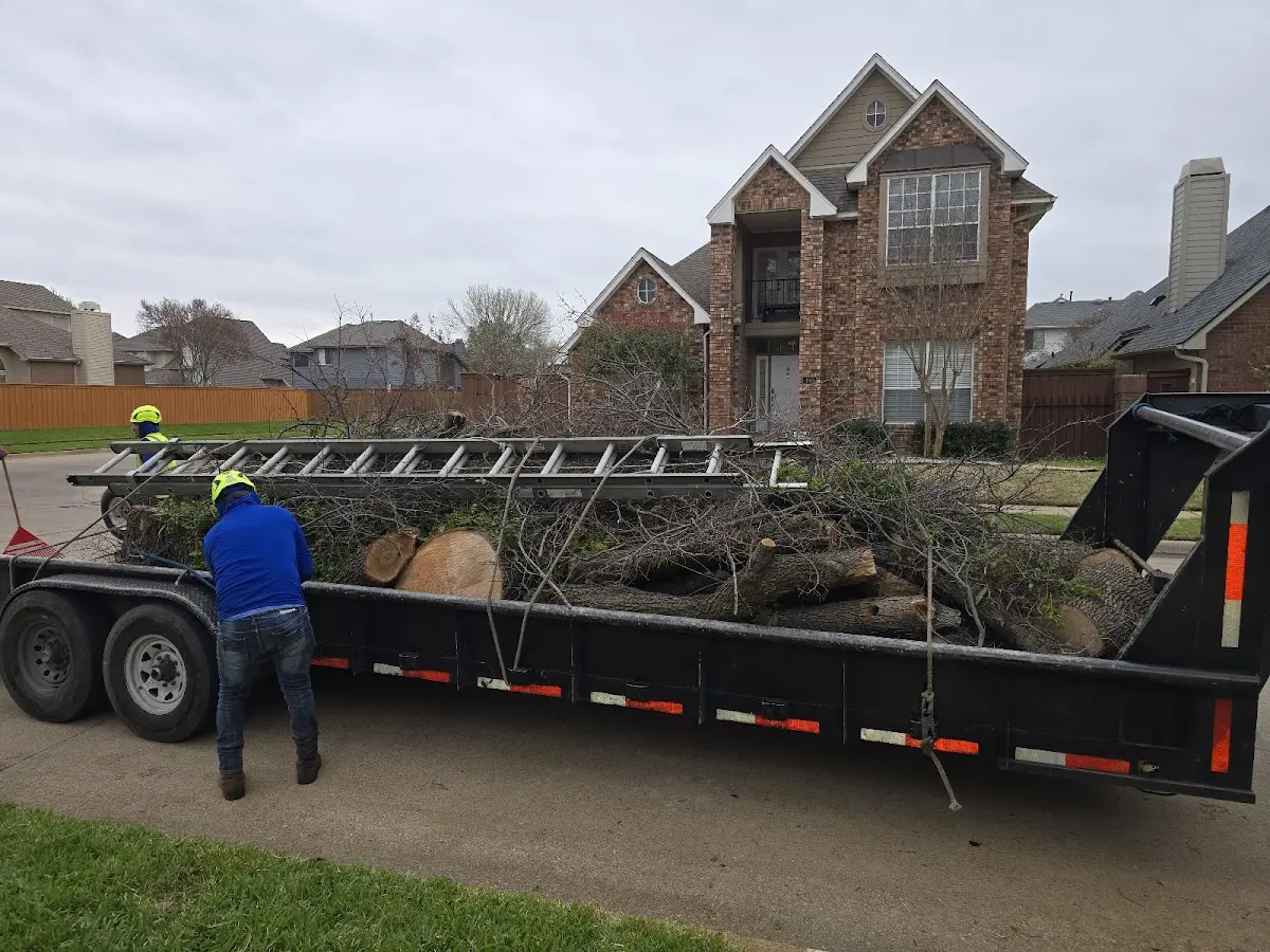 Expert Lot Clearing with proper safety equipment in Harriman